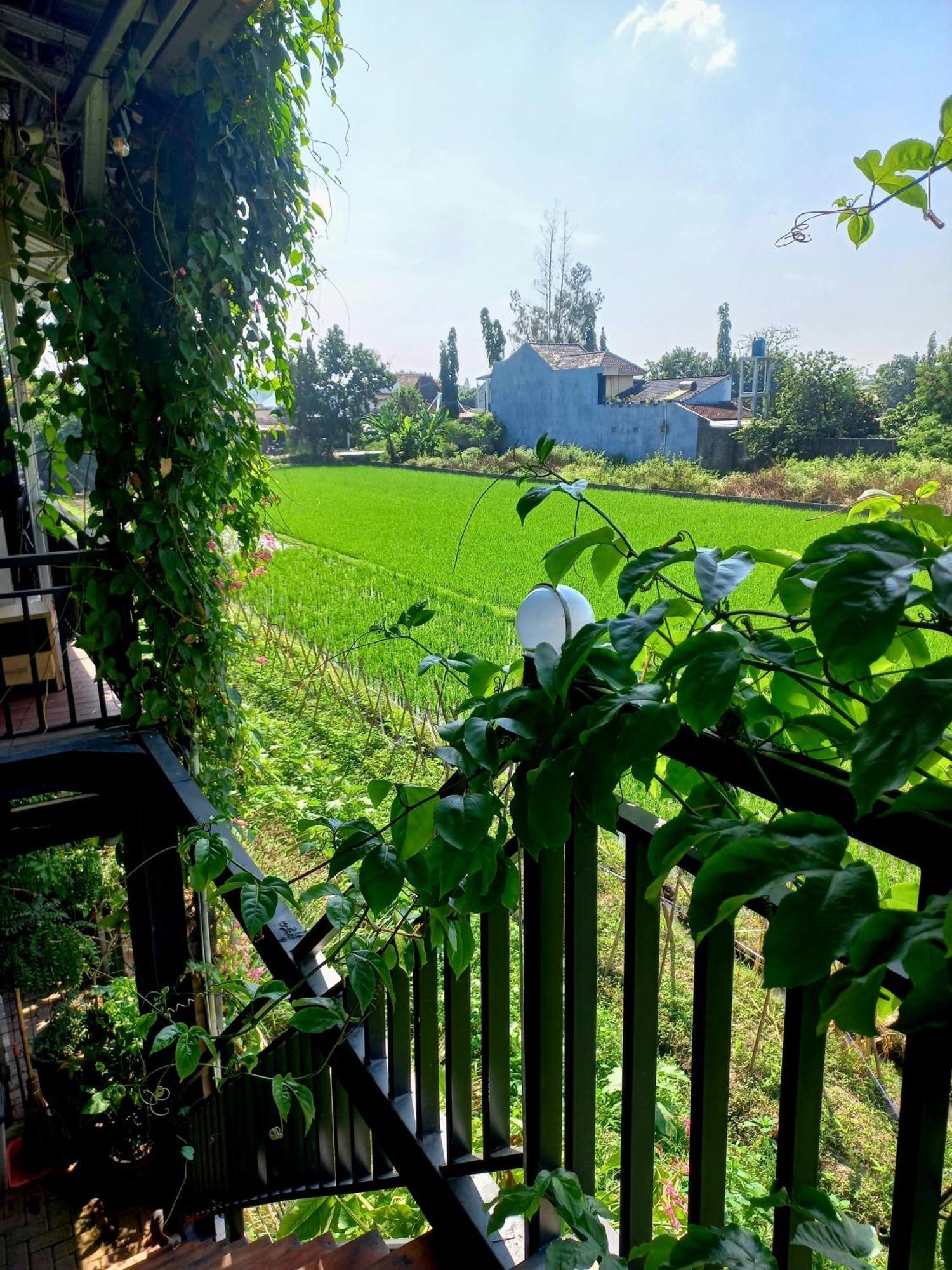 Hotel Omah Cepit Bagian luar foto